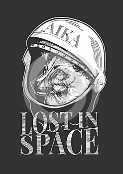 Laika dog in helmet